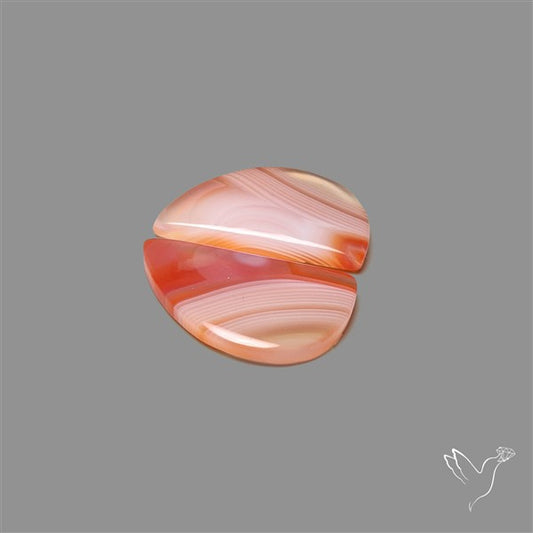 Lake Superior Agate Pair