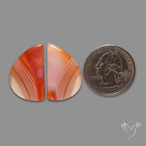 Lake Superior Agate Pair