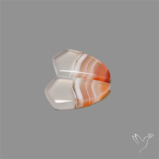 Lake Superior Agate Pair