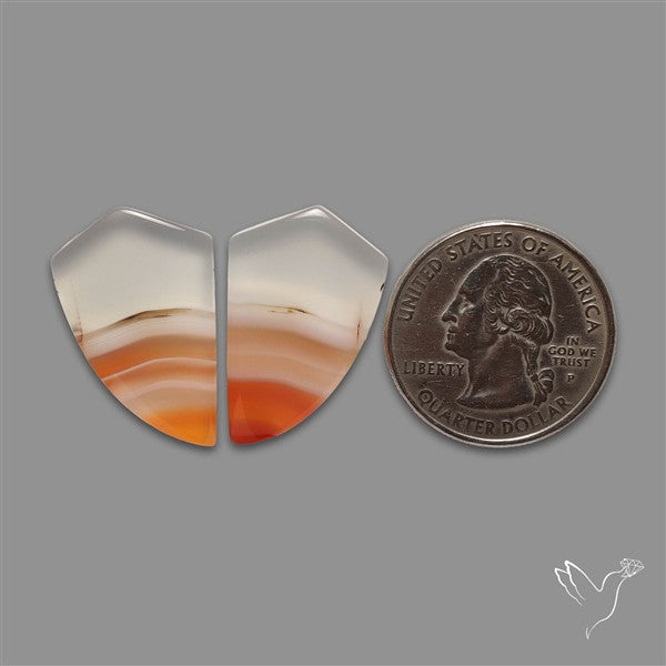 Lake Superior Agate Pair