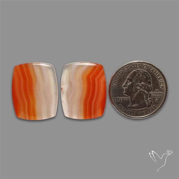 Lake Superior Agate Pair