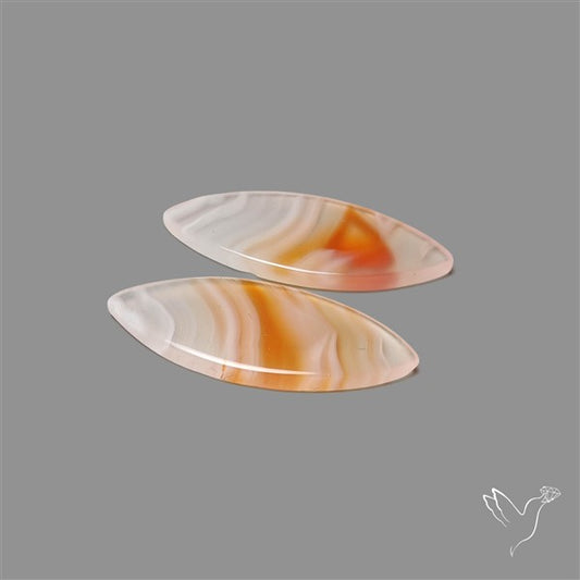 Lake Superior Agate Pair
