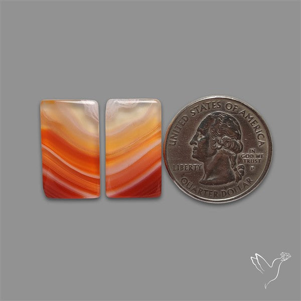 Lake Superior Agate Pair