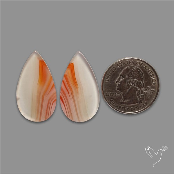 Lake Superior Agate Pair