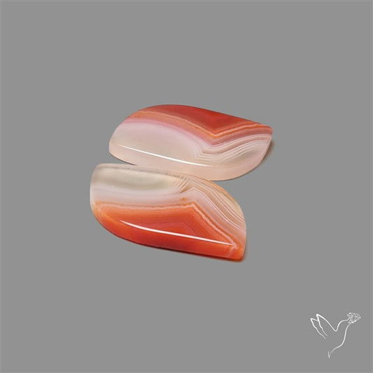 Lake Superior Agate Pair