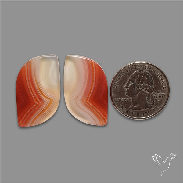 Lake Superior Agate Pair