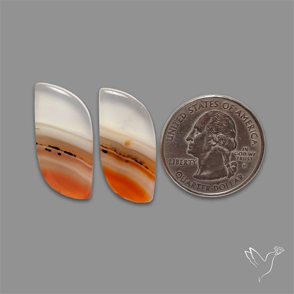 Lake Superior Agate Pair