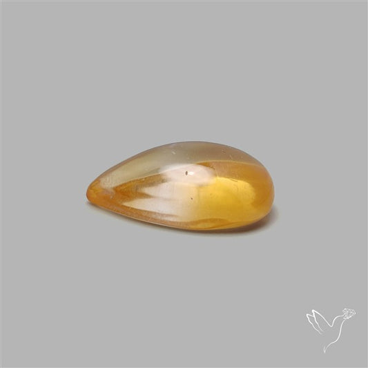Bicolor Citrine Cabochon High Domed