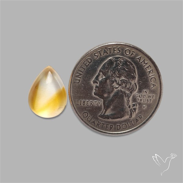 Bicolor Citrine Cabochon High Domed