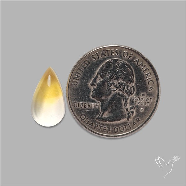 Bicolor Citrine Cabochon High Domed