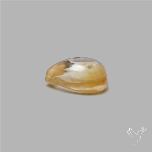 Bicolor Citrine Cabochon High Domed