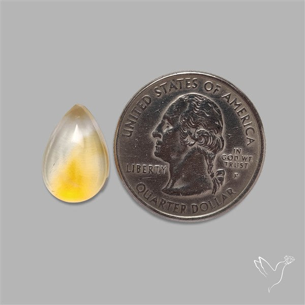 Bicolor Citrine Cabochon High Domed