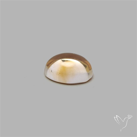 Bicolor Citrine Cabochon High Domed