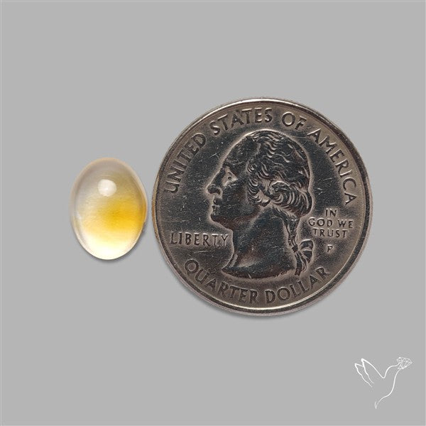 Bicolor Citrine Cabochon High Domed