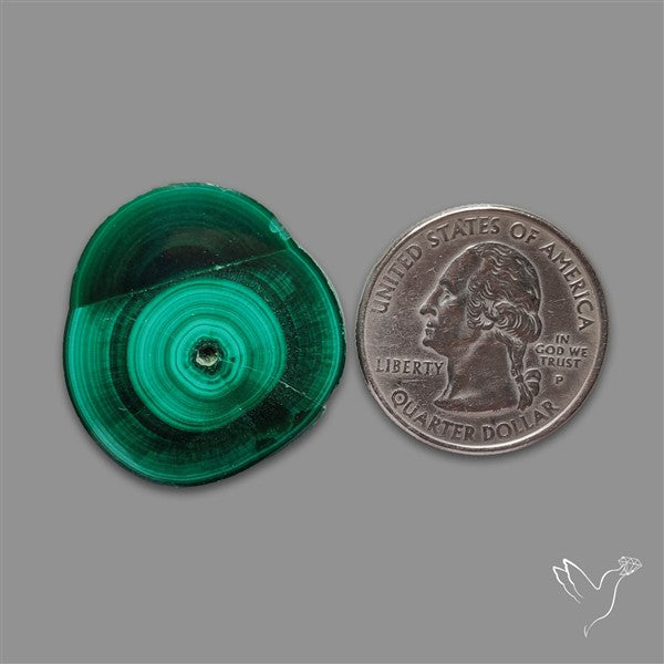 Rare Malachite Stalactite Slice Freeform Raw Edges