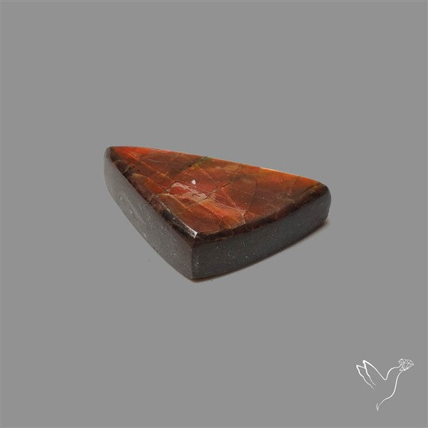 AAA Ammolite Cabochon