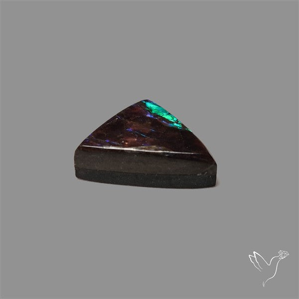 AAA Ammolite Cabochon