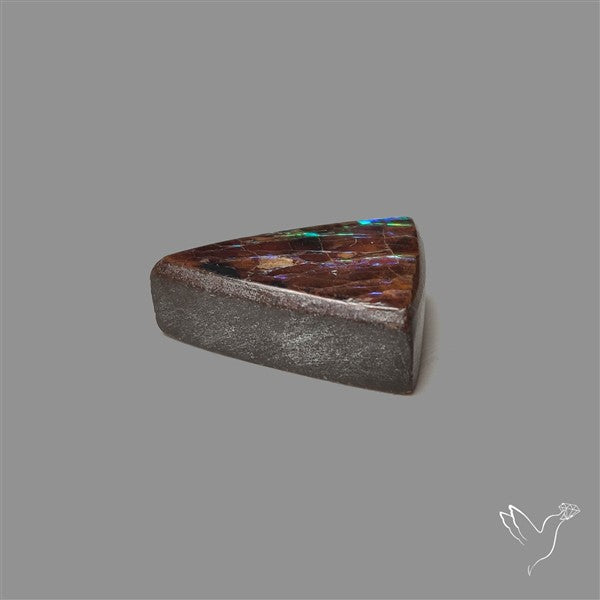 AAA Ammolite Cabochon