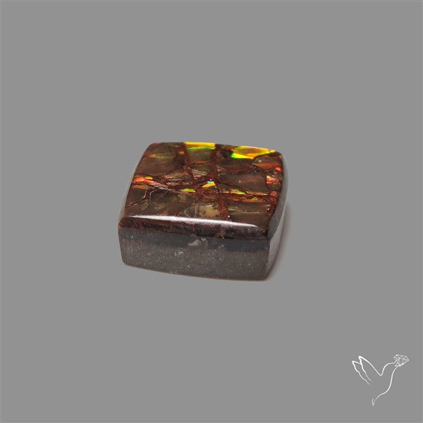 AAA Ammolite Cabochon