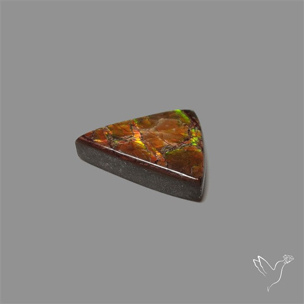 AAA Ammolite Cabochon