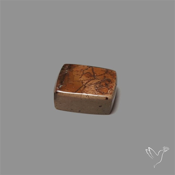 AAA Ammolite Cabochon