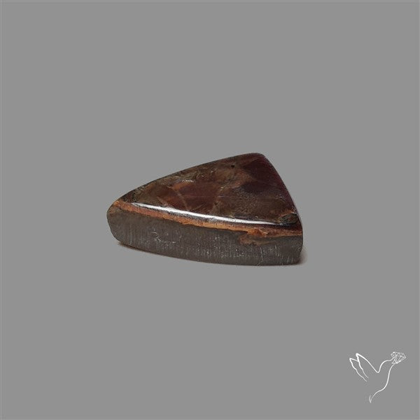 AAA Ammolite Cabochon