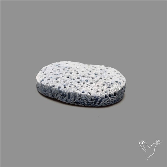 Blue Sponge Coral Raw Face