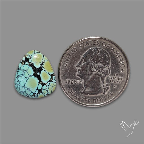 Ivory Creek Turquoise Cabochon