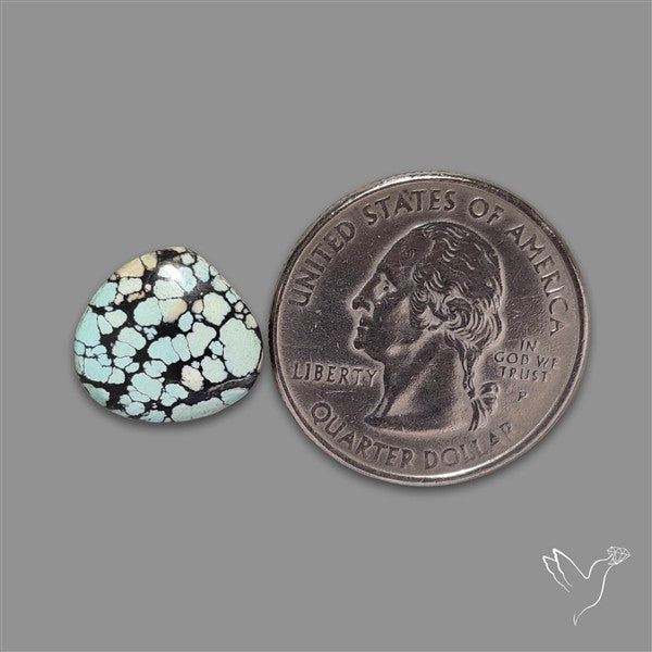 Ivory Creek Turquoise Cabochon
