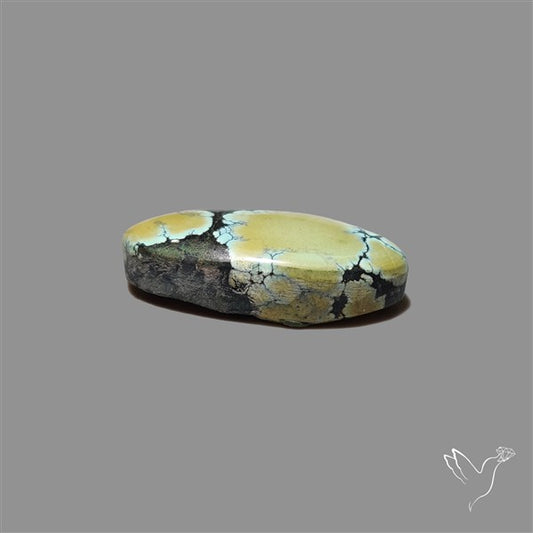 Ivory Creek Turquoise Cabochon