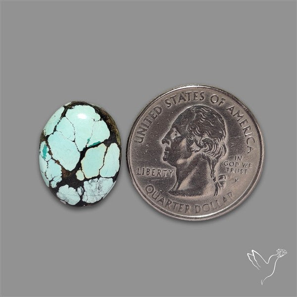 Ivory Creek Turquoise Cabochon