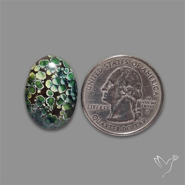 Rare Damele Variscite Cabochon