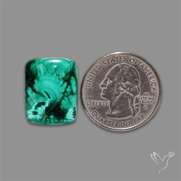 Dense Forest Malachite Cabochon