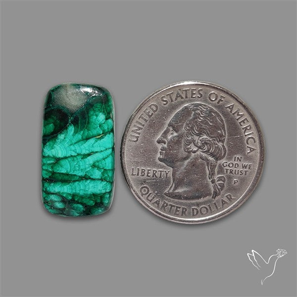 Dense Forest Malachite Cabochon