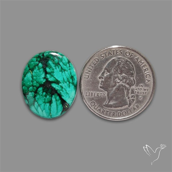 Dense Forest Malachite Cabochon