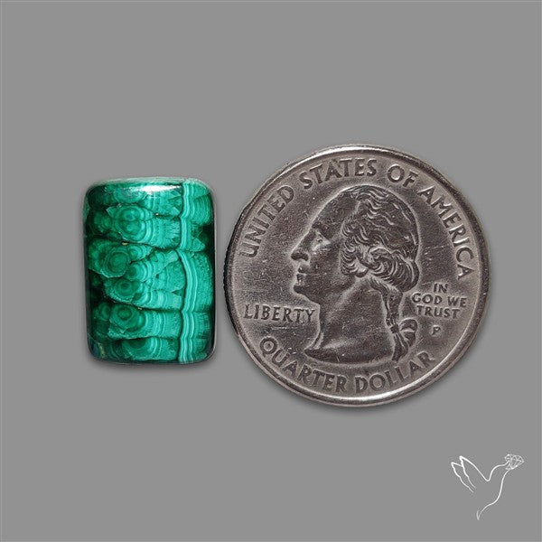 Dense Forest Malachite Cabochon