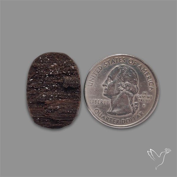 Petrified Wood Druzy