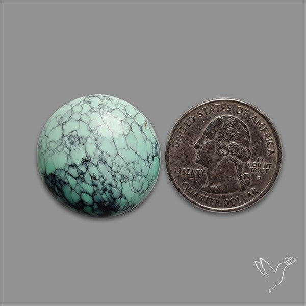 Rare Black Bridge Variscite Cabochon