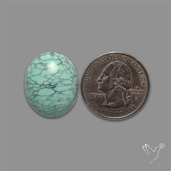 Rare Black Bridge Variscite Cabochon