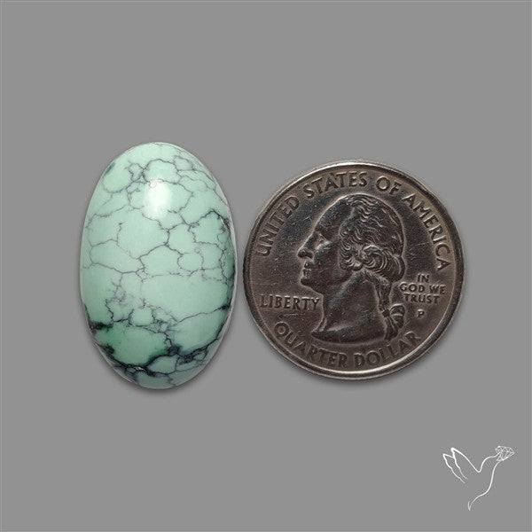 Rare Black Bridge Variscite Cabochon