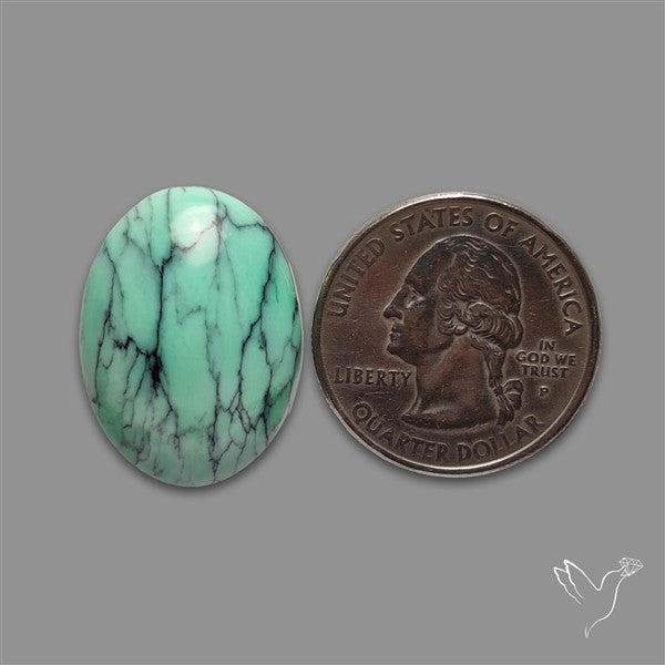 Rare Black Bridge Variscite Cabochon