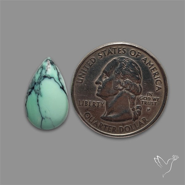 Rare Black Bridge Variscite Cabochon