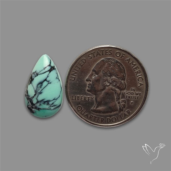 Rare Black Bridge Variscite Cabochon