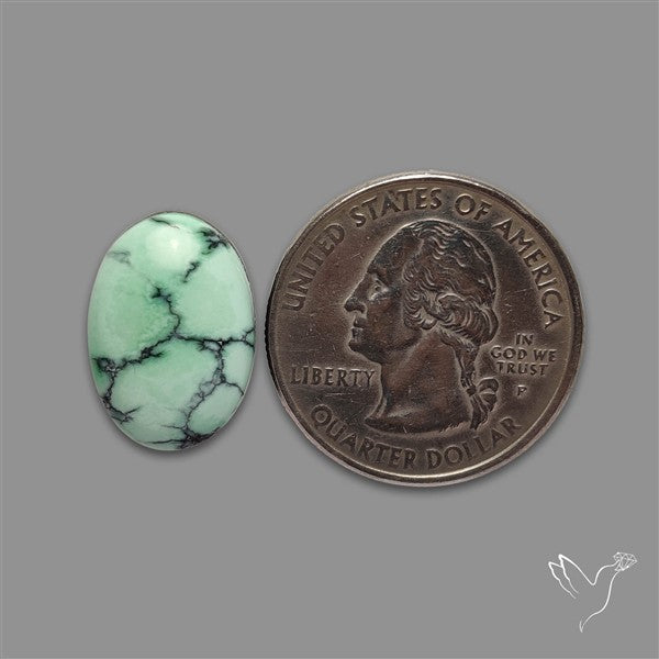 Rare Black Bridge Variscite Cabochon