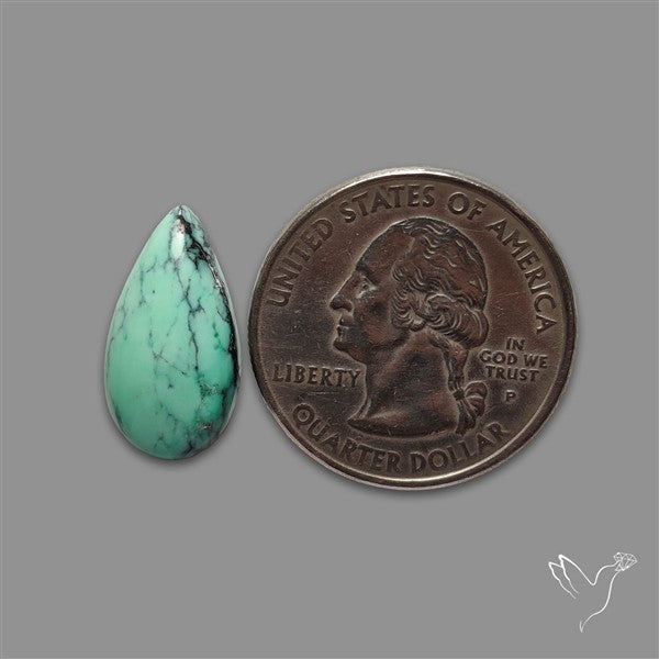 Rare Black Bridge Variscite Cabochon