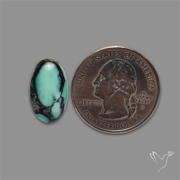 Rare Black Bridge Variscite Cabochon