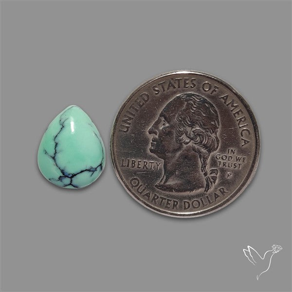 Rare Black Bridge Variscite Cabochon