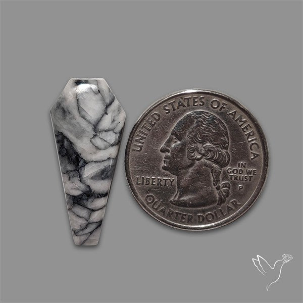 Pinolith Cabochon Coffin Shaped