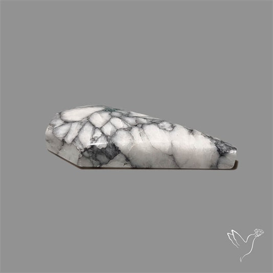 Pinolith Cabochon Coffin Shaped