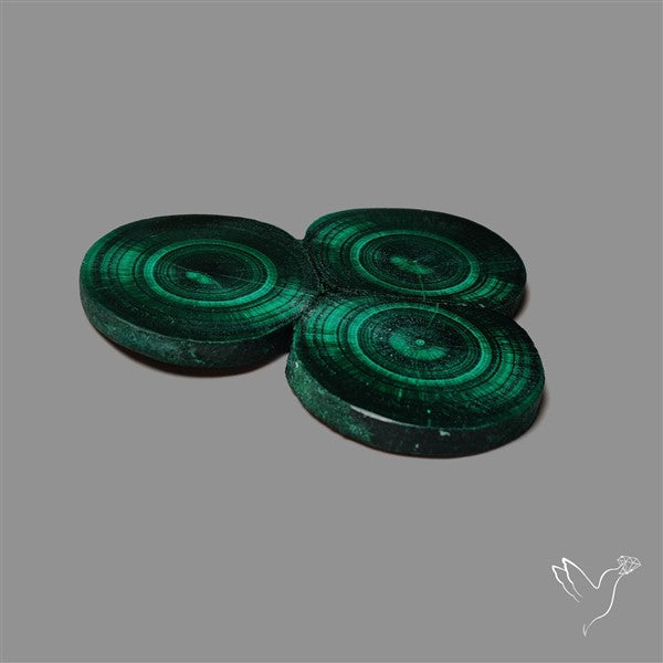 Rare Malachite Stalactite Cluster with Chattoyancy Slice